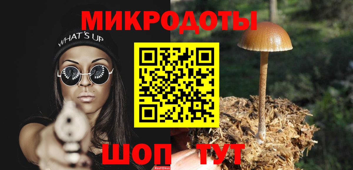 Галлюциногенные грибы Psilocybine cubensis Елец